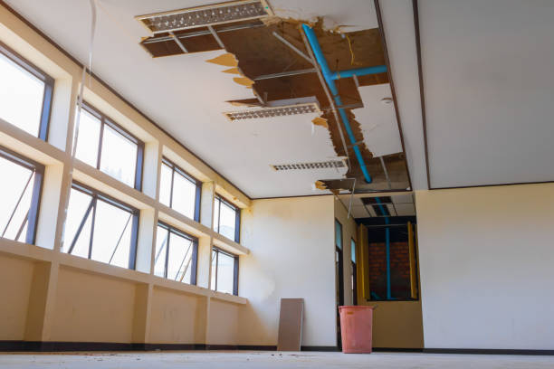Best Water damage contractors near me  in Crystal Lake, CT