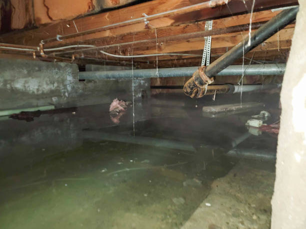 24/7 water damage repair in Crystal Lake, CT