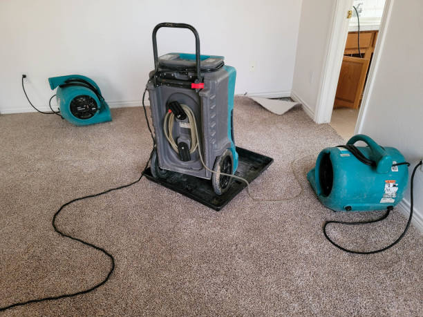 Best Ceiling water damage repair  in Crystal Lake, CT