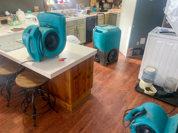 Best Commercial water damage restoration  in Crystal Lake, CT