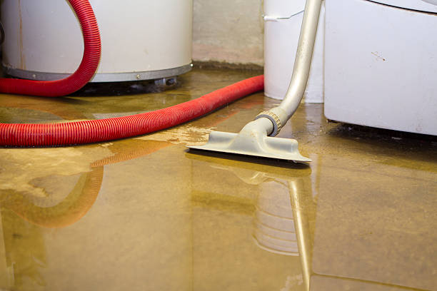 Best Local water damage restoration  in Crystal Lake, CT