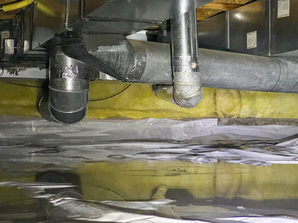 Best Mold removal after water damage  in Crystal Lake, CT