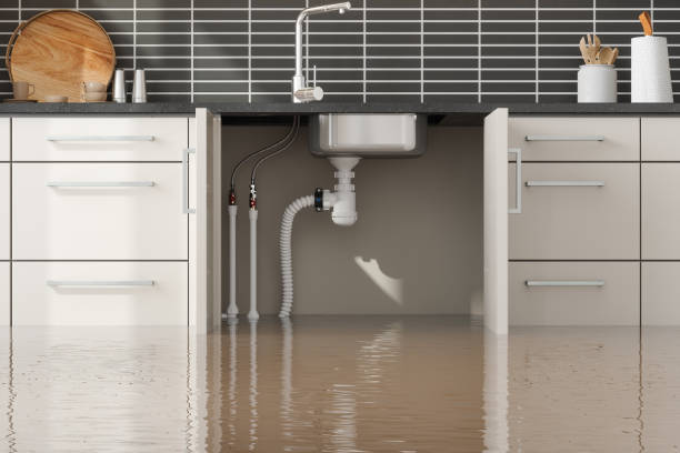 Best Mold removal after water damage  in Crystal Lake, CT