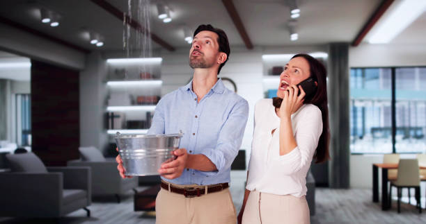 Best 24-hour water damage restoration  in Crystal Lake, CT