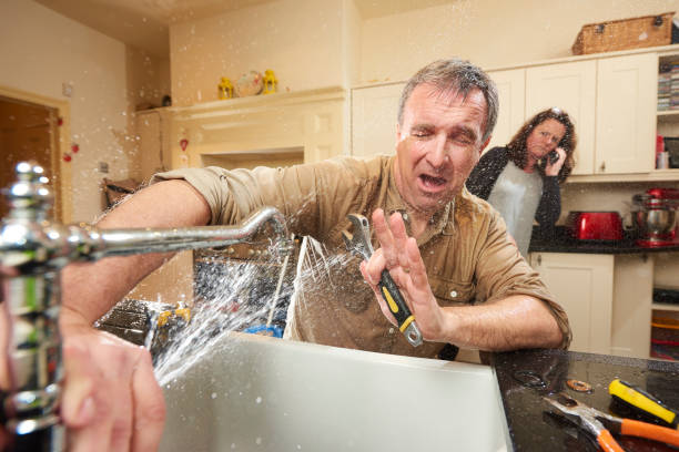 Best Professional water damage repair  in Crystal Lake, CT